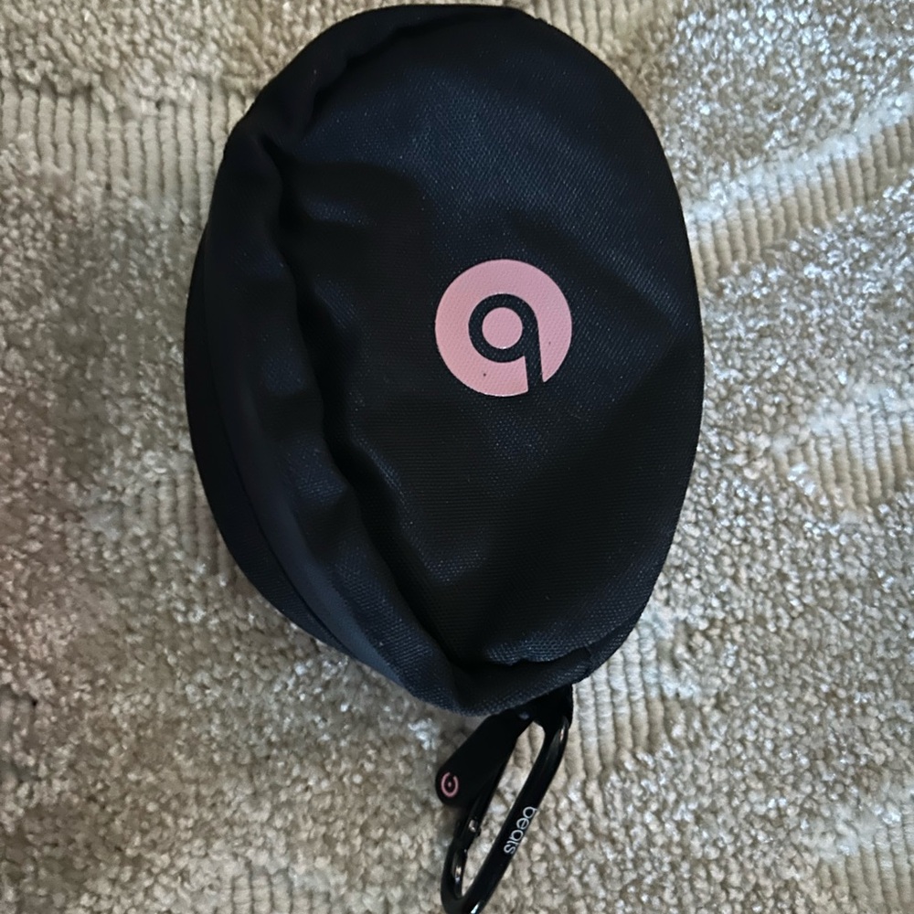 Beats case